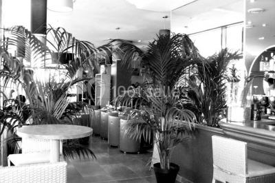 Les Terrasses De L'opéra - photo 3