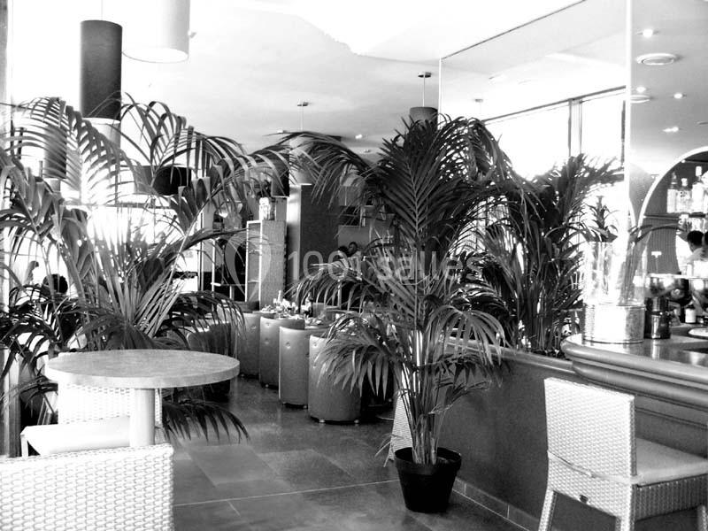Les Terrasses De L'opéra - galerie - photo 3