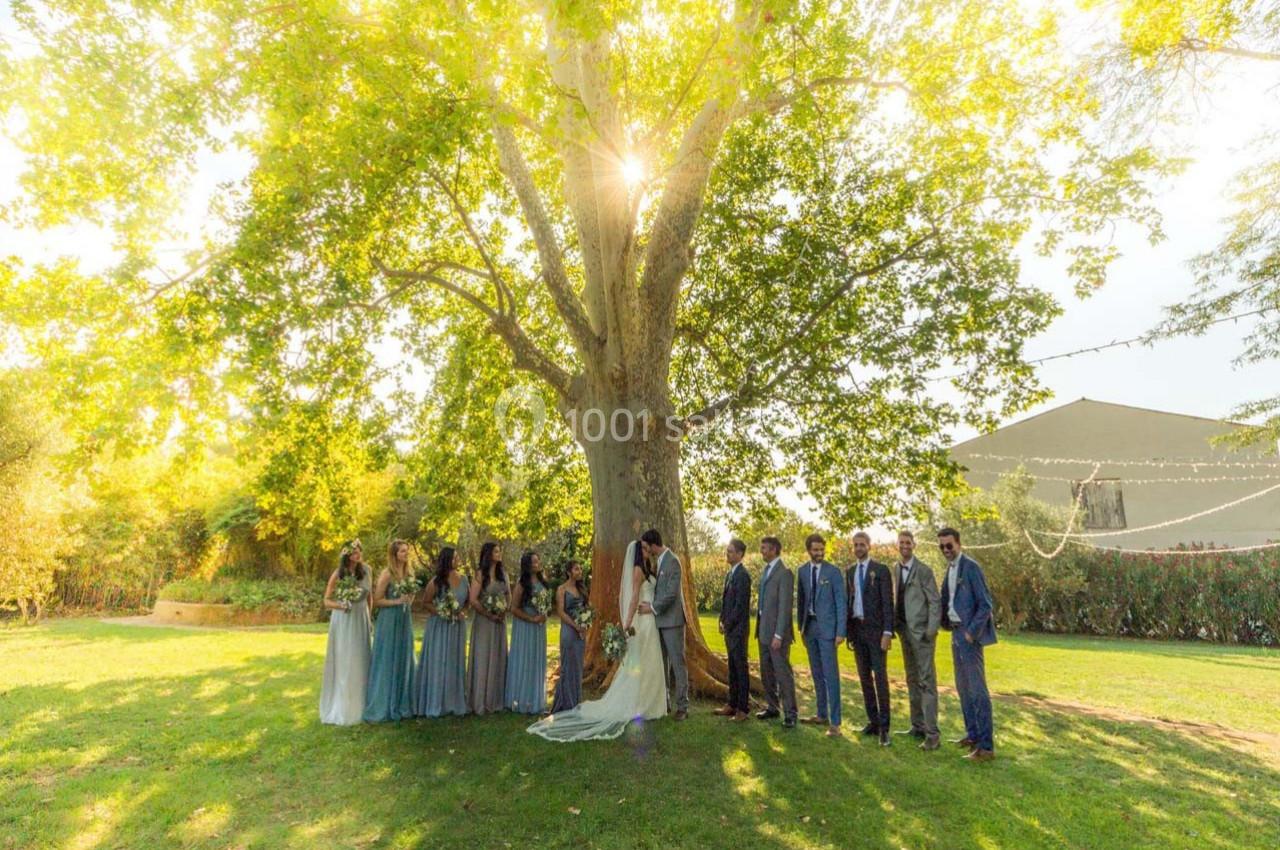 Un groupe de personnes en tenue de cérémonie posant sous un grand arbre dans un jardin ensoleillé.