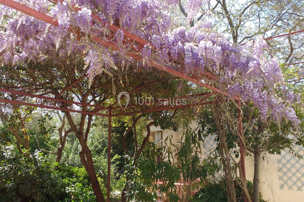 Pergola en métal rouge recouverte de glycines en fleurs, entourée de végétation dans un jardin ensoleillé.