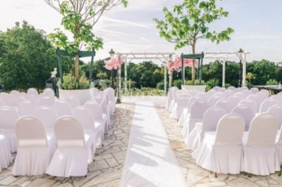 Parking extérieur avec plusieurs voitures stationnées, entouré d'arbres et offrant une vue dégagée au loin.