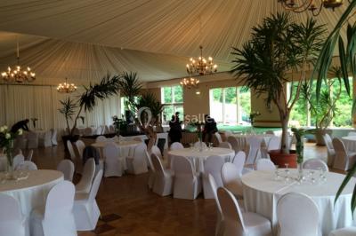 Parking extérieur avec plusieurs voitures stationnées, entouré d'arbres et offrant une vue dégagée au loin.