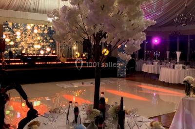 Parking extérieur avec plusieurs voitures stationnées, entouré d'arbres et offrant une vue dégagée au loin.