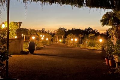 Parking extérieur avec plusieurs voitures stationnées, entouré d'arbres et offrant une vue dégagée au loin.