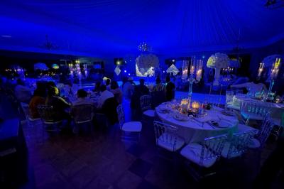 Parking extérieur avec plusieurs voitures stationnées, entouré d'arbres et offrant une vue dégagée au loin.