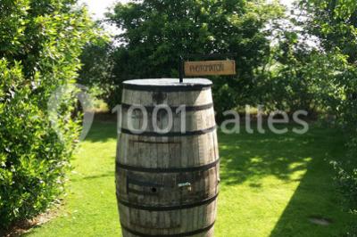 Miniature Location salle Plélan-le-Grand (Ille-et-Vilaine) - Domaine Le 5b #19 Table ronde décorée pour un repas, avec nappes blanches, couverts disposés, fleurs et éléments naturels en centre de table.
