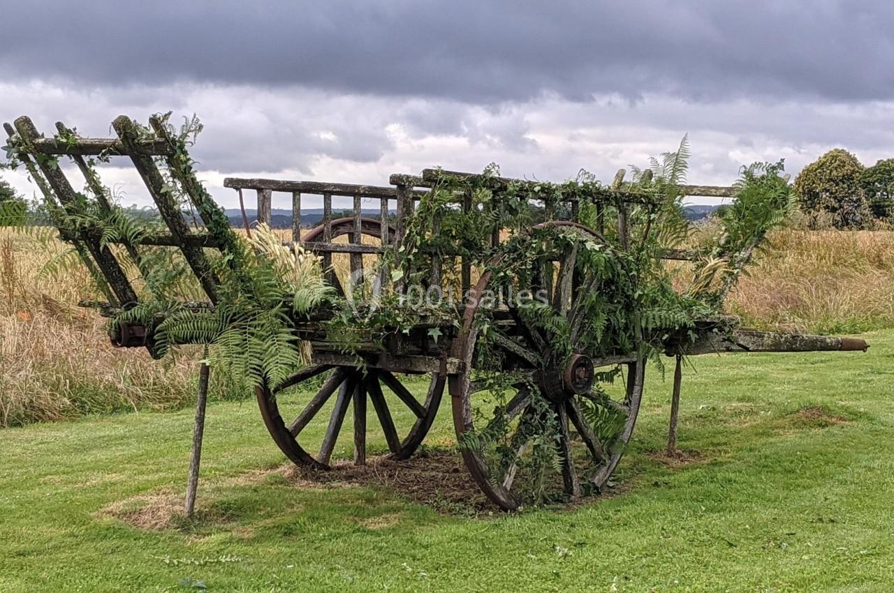 Location salle Plélan-le-Grand (Ille-et-Vilaine) - Domaine Le 5b #57 Charrette en bois ancienne envahie par des plantes et des fougères, située sur une pelouse devant un champ.