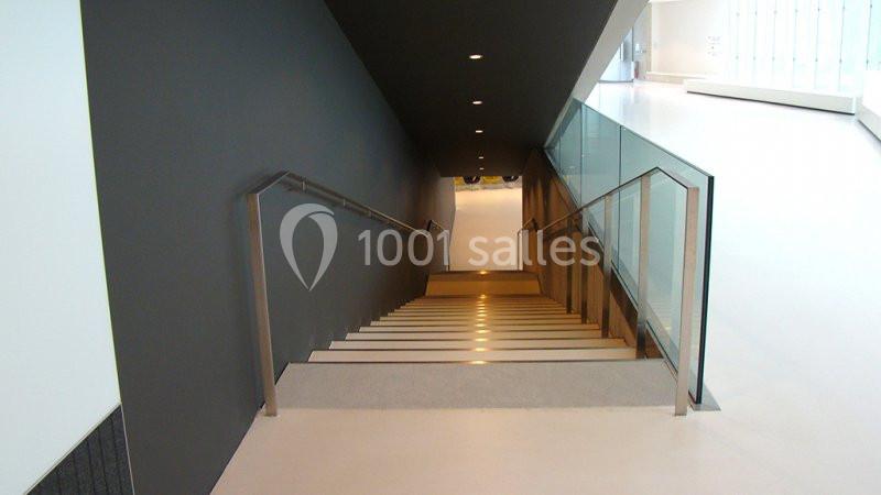 Pôle International De La Préhistoire - galerie - photo 16