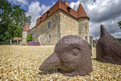 Location salle Pérignac (Charente) - Château De Lerse #23