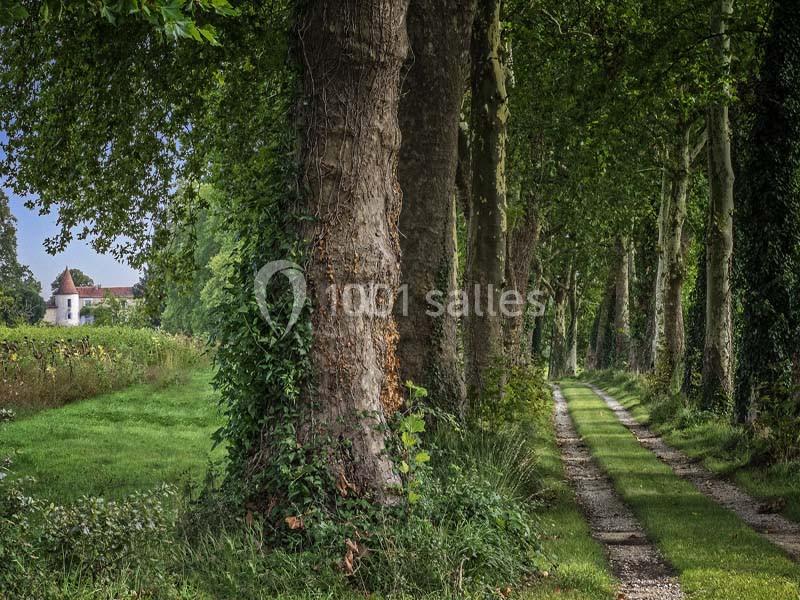Château de Lerse - galerie - photo 8