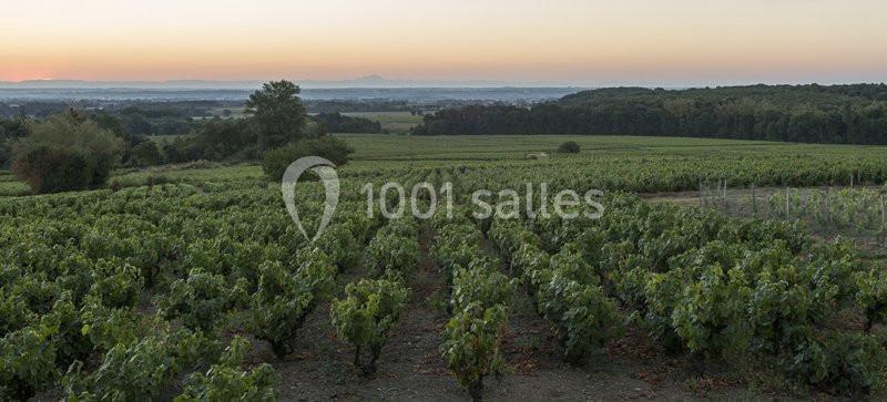 Domaine Morgon La Javernière - galerie - photo 16
