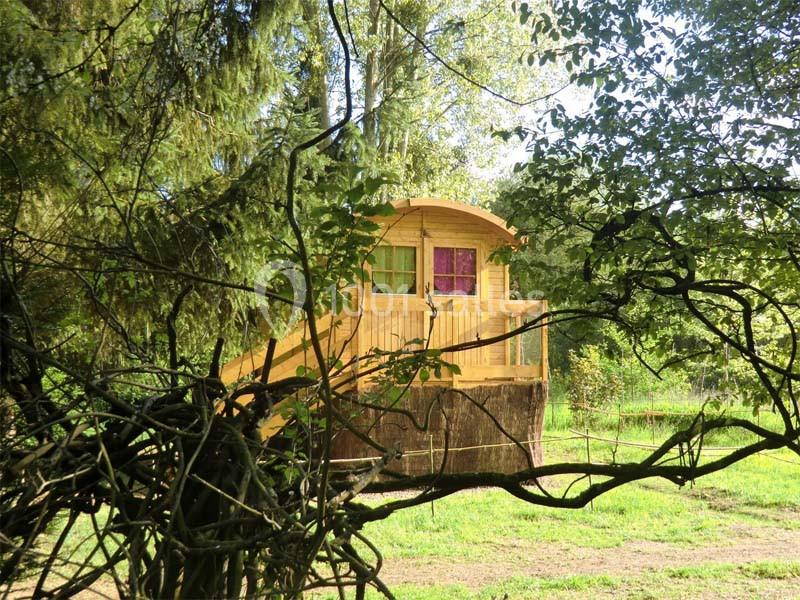 Location salle Tancrou (Seine-et-Marne) - Espace Nature Au Creux Du Chêne #8