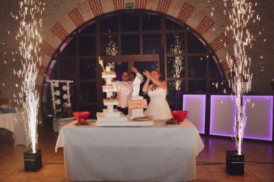 Miniature Location salle Baleyssagues (Lot-et-Garonne) - Château La Grave Béchade #9 Location salle Baleyssagues (Lot-et-Garonne) - Château La Grave Béchade #46