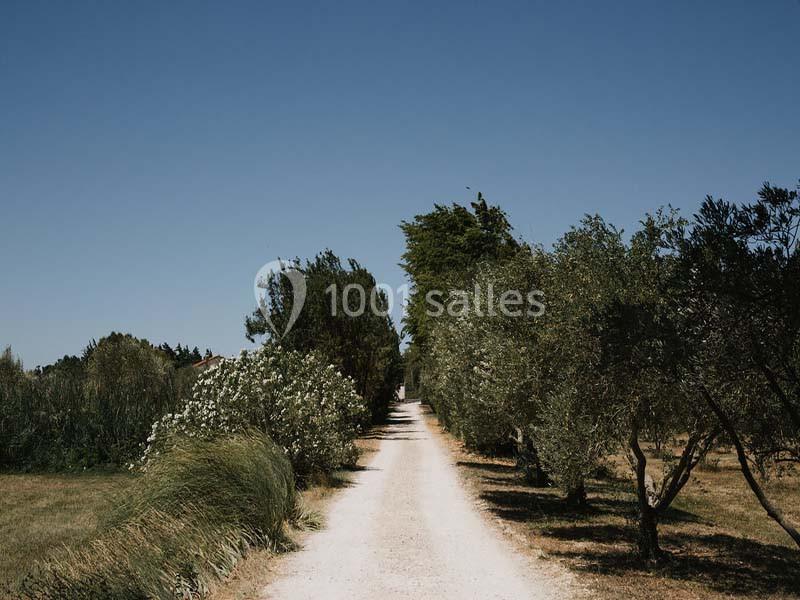Mas d'Arvieux - galerie - photo 11