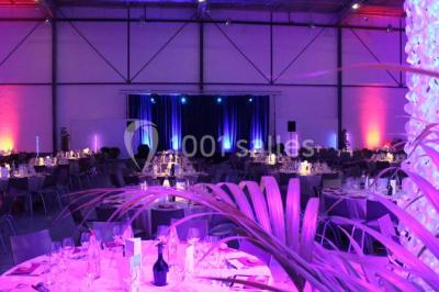 Miniature Location salle Dammarie-les-Lys (Seine-et-Marne) - Espace Pierre Bachelet #4 Entrée vitrée illuminée avec des plantes en pot disposées en rangées et éclairage coloré.