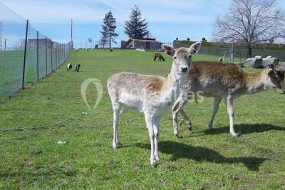 Location salle Violay (Loire) - Espace Violay 1004 #25