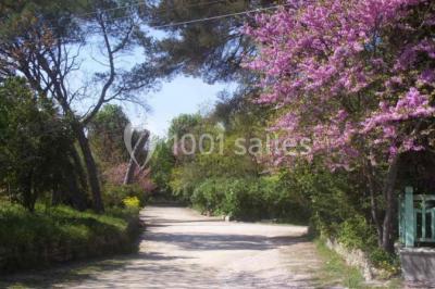 Location salle Cabriès (Bouches-du-Rhône) - La Guérine #23