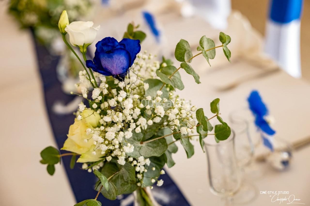 Location salle Cabriès (Bouches-du-Rhône) - La Guérine #12