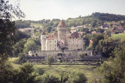 Château De Montrottier - photo 3