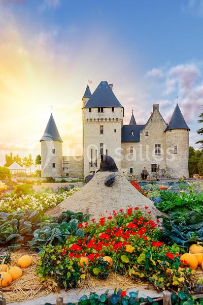 Location salle Lémeré (Indre-et-Loire) - Château Du Rivau #6 Location salle Lémeré (Indre-et-Loire) - Château Du Rivau #6