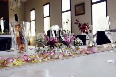 Château Nestuby Château Nestuby