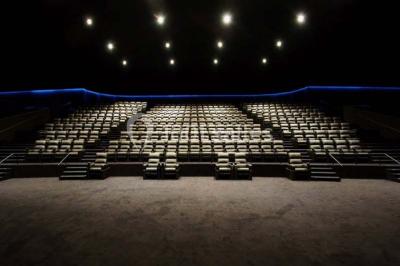 Pathé Wilson - photo 2