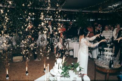 Miniature Location salle Villecien (Yonne) - Château du Fey #18 Location salle Villecien (Yonne) - Château du Fey #24