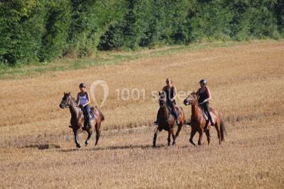 Miniature Location salle Nesles-la-Vallée (Val-d'Oise) - Domaine Le Grand Paris #14 Location salle Nesles-la-Vallée (Val-d'Oise) - Domaine Le Grand Paris #15