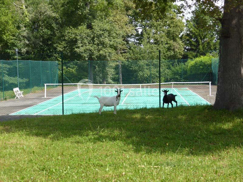 Domaine Ollé Laprune - galerie - photo 4
