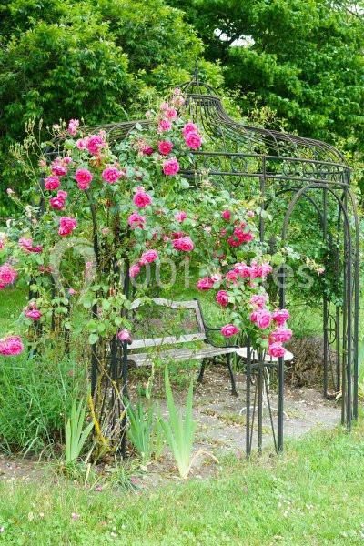 Location salle Briare (Loiret) - Domaine De La Thiau #21