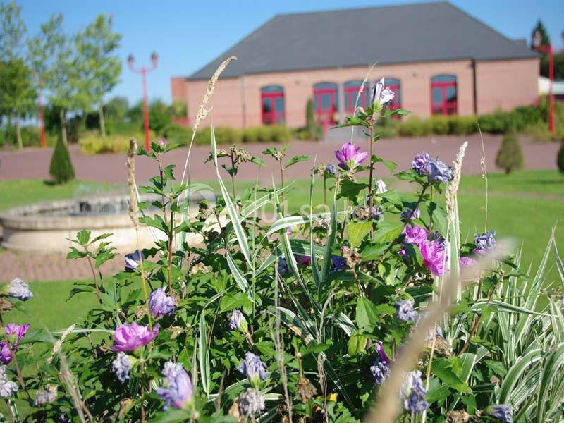 Massif de fleurs violettes au premier plan, avec une fontaine et un bâtiment en briques rouges en arrière-plan.