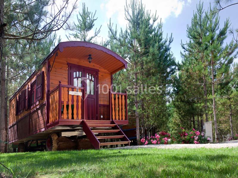 Roulotte en bois installée dans une clairière entourée de pins, avec des fleurs colorées au premier plan.