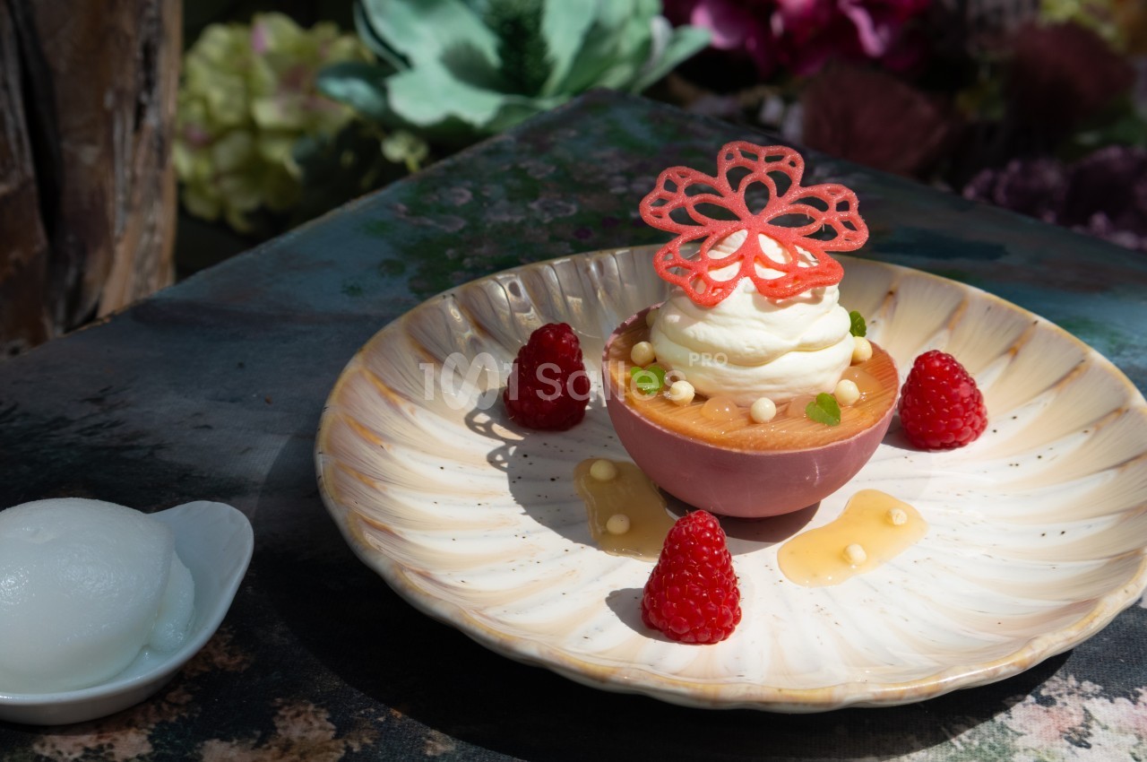 Dessert raffiné composé d'une mousse dans une coque en chocolat, décoré de framboises et d'une dentelle sucrée.
