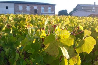 Miniature Location salle Saint-Étienne-des-Oullières (Rhône) - Les Voûtes du Clair de Néty #2 Location salle Saint-Étienne-des-Oullières (Rhône) - Les Voûtes du Clair de Néty #24