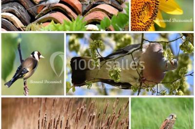 Location salle Romegoux (Charente-Maritime) - Le Moulin Du Champ #24