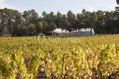Domaine De Fauveris - photo 2