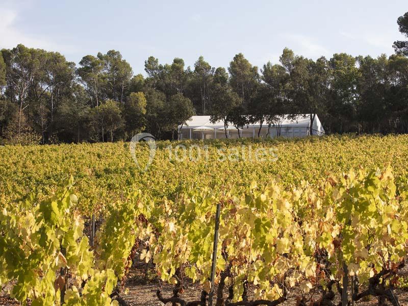 Domaine De Fauveris - galerie - photo 2