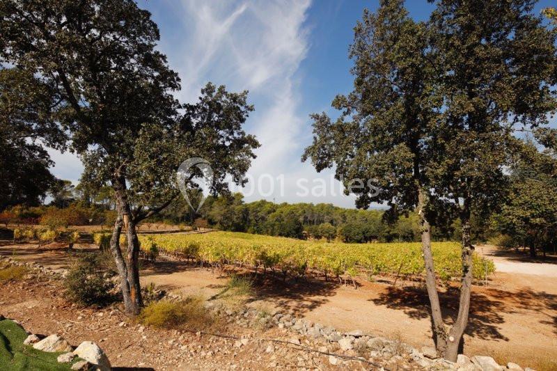 Domaine De Fauveris - galerie - photo 7