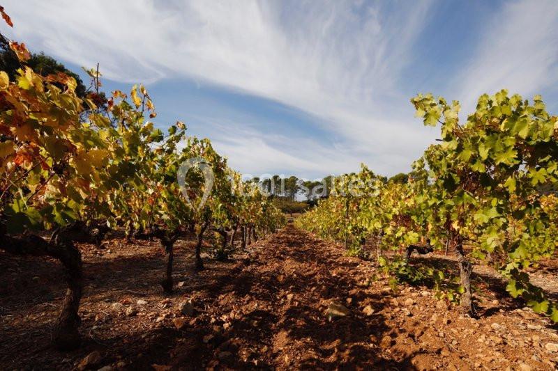 Domaine De Fauveris - galerie - photo 9