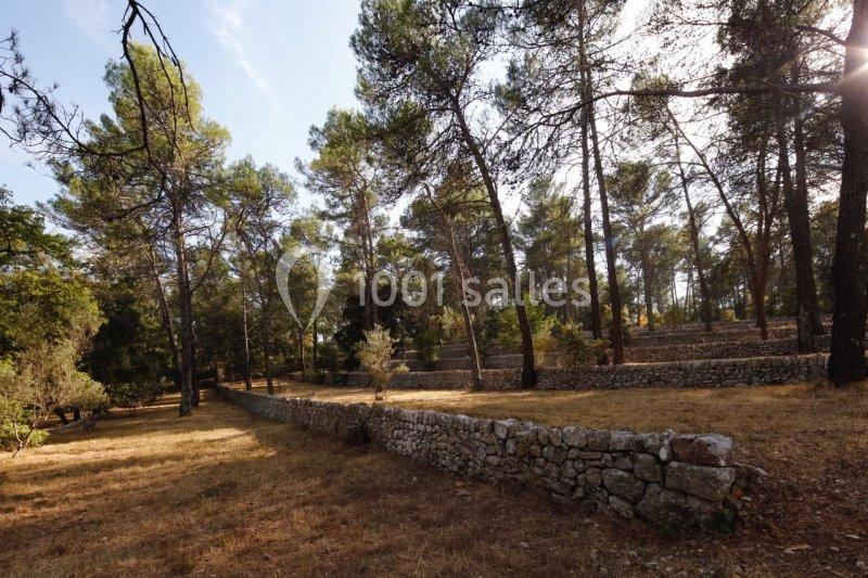 Domaine De Fauveris - galerie - photo 10