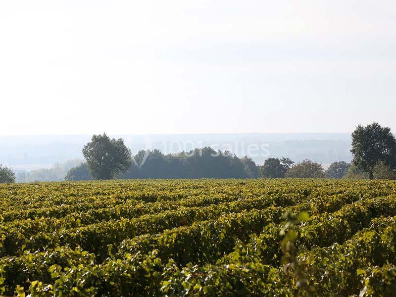La Grange Des Barres - galerie - photo 16