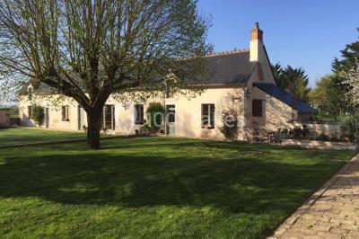 Miniature Location salle Mulsans (Loir-et-Cher) - Domaine De La Fouardière #6 Location salle Mulsans (Loir-et-Cher) - Domaine De La Fouardière #20