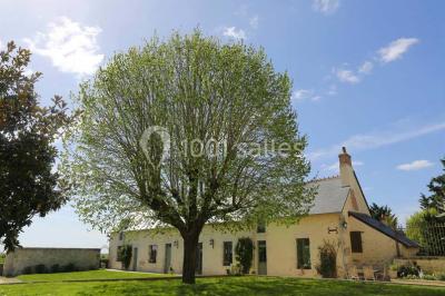 Miniature Location salle Mulsans (Loir-et-Cher) - Domaine De La Fouardière #7 Location salle Mulsans (Loir-et-Cher) - Domaine De La Fouardière #20