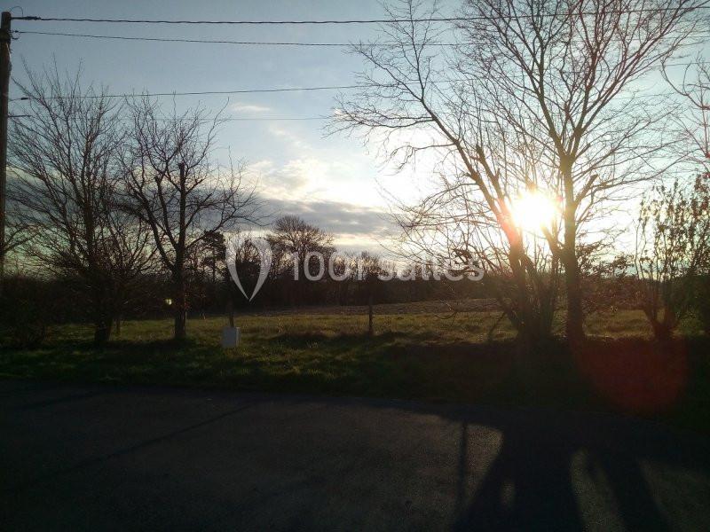 Paysage rural au coucher du soleil, avec des arbres dénudés, une prairie et un ciel partiellement nuageux.