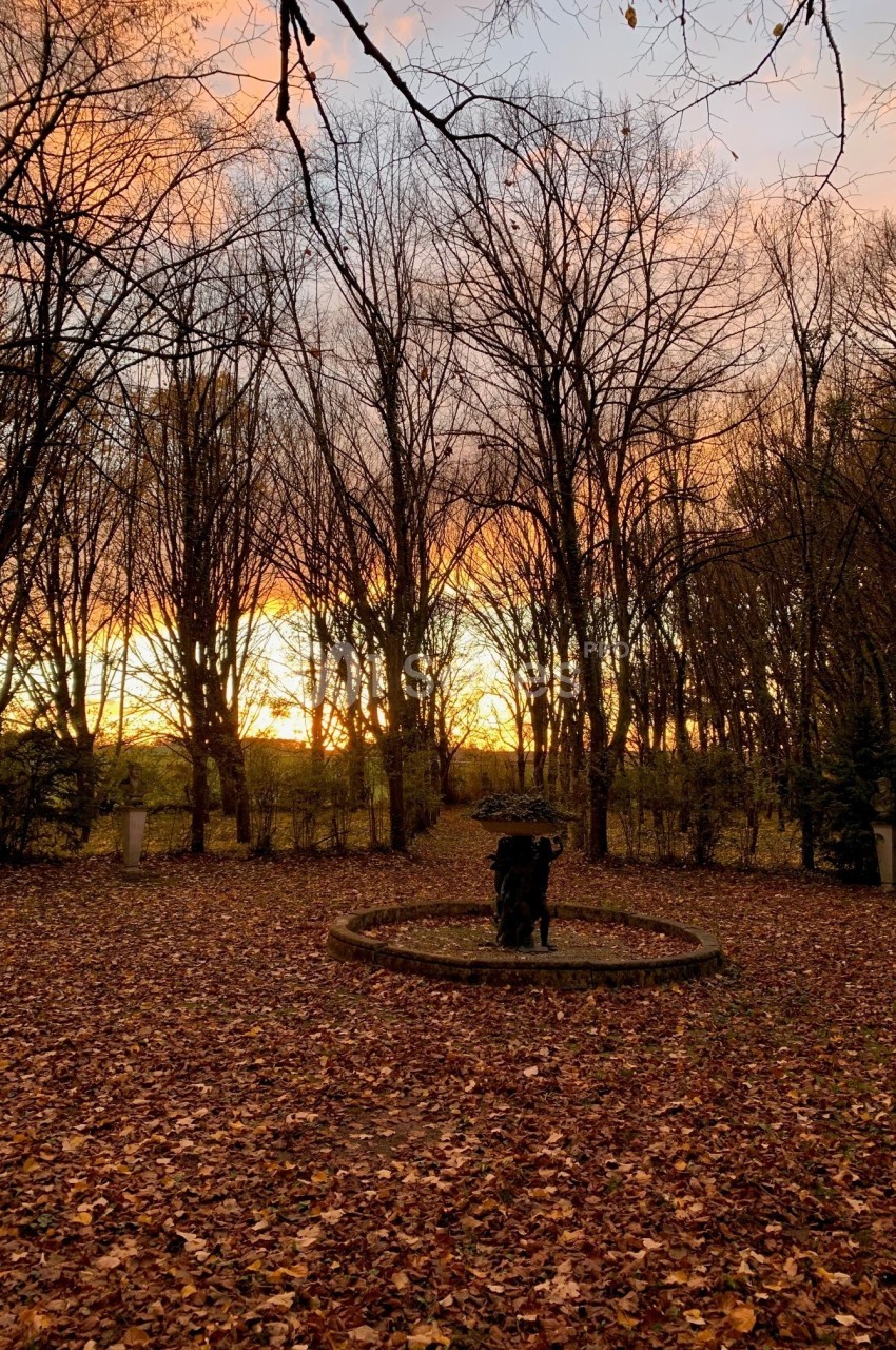 Coucher de soleil à travers des arbres dénudés, avec un tapis de feuilles mortes et une statue centrale dans un parc.