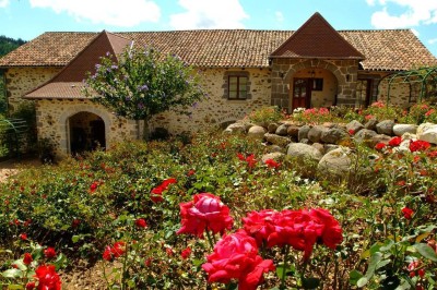 Château de Salles - photo 2