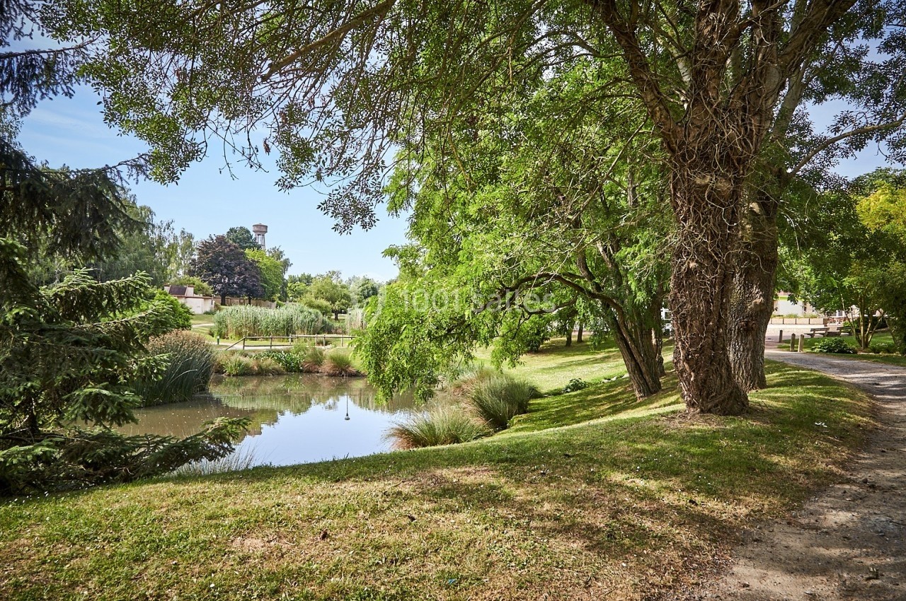 Un parc verdoyant avec un étang bordé d'arbres et un chemin ombragé sous un ciel dégagé.