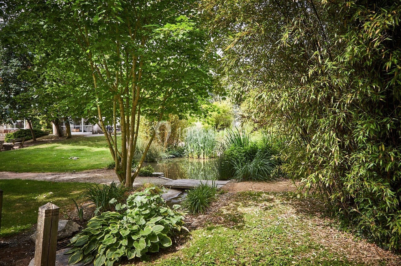 Petit pont en bois traversant un étang entouré de végétation luxuriante dans un jardin paisible.