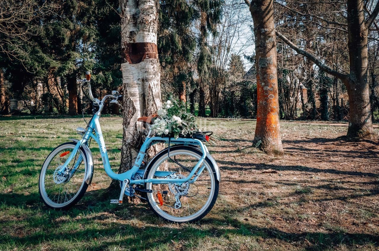 Vélo bleu appuyé contre un arbre dans un parc, avec un panier de fleurs blanches à l'arrière.