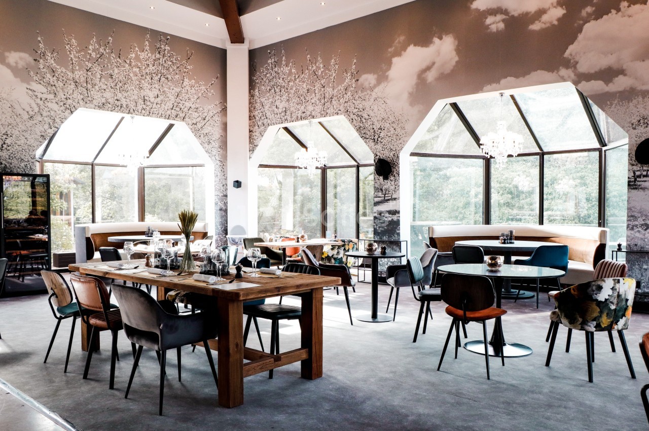 Salle de restaurant lumineuse avec grandes baies vitrées, tables en bois et chaises variées dans un décor moderne.